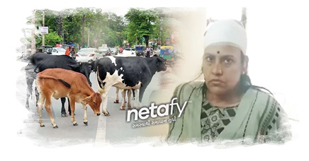 bjp-ward-pramukh-got-attacked-by-stray-cattle-vadodara-netafy-news