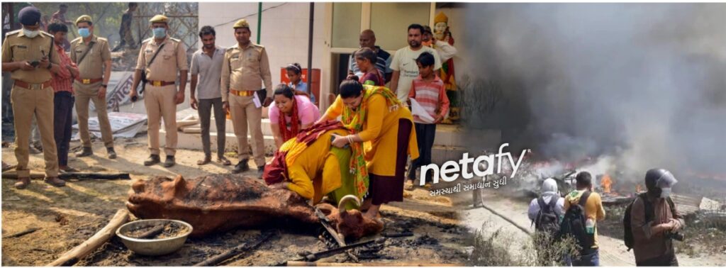 Cows-charred-to-death-in-gaziabad-deadly-fire-netafy-news